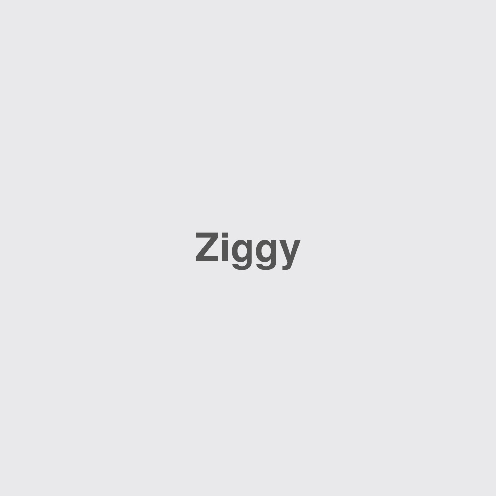 Placeholder 1